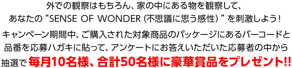 豪華賞品をプレゼント