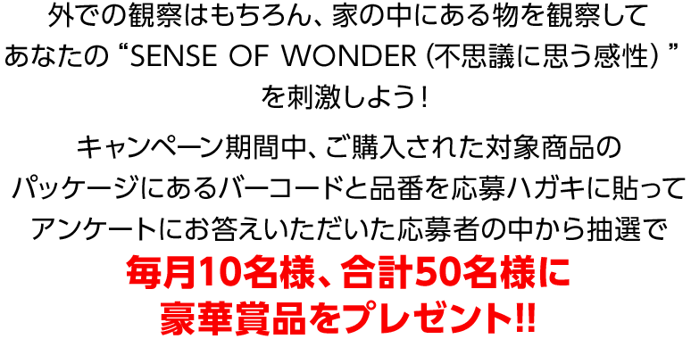 豪華賞品をプレゼント