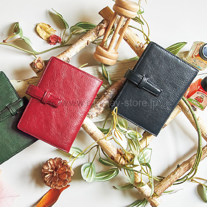 ダ・ヴィンチ mini5サイズ システム手帳（リング11mm） / レイメイ