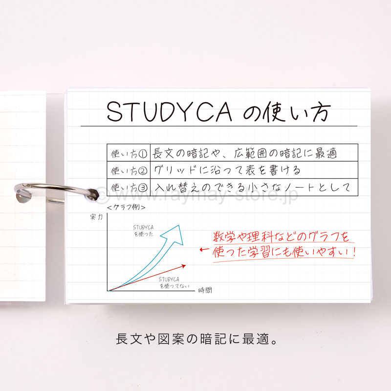 ケプト STUDYCA / レイメイストア / 株式会社レイメイ藤井