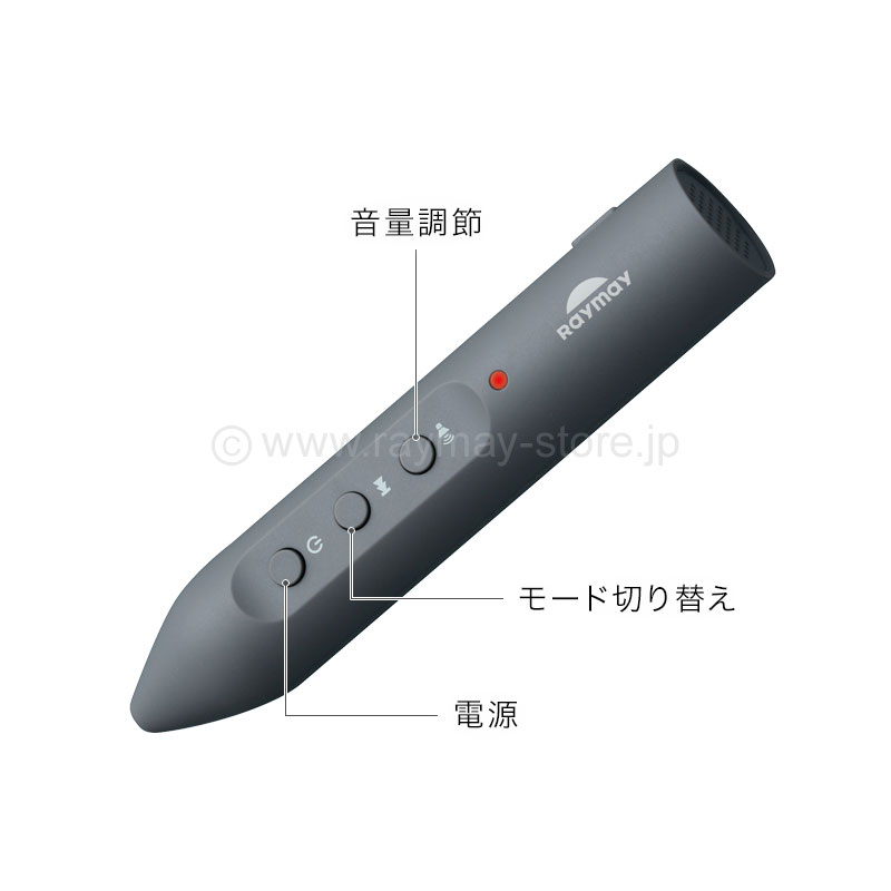 レイメイ藤井 地球儀 しゃべる国旗付地球儀 25cm タッチペン付