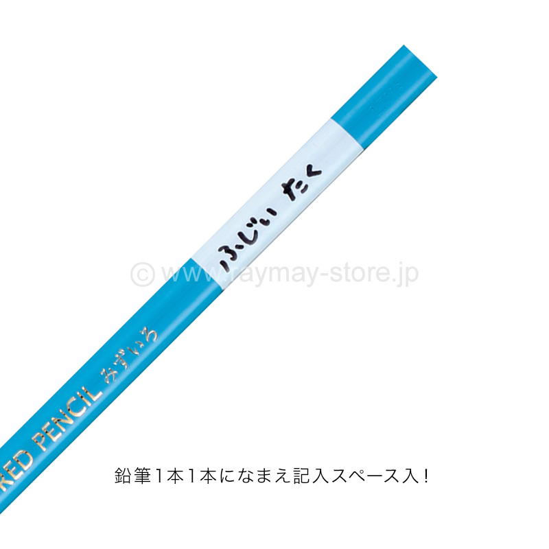 先生オススメ!! 色鉛筆24色（ピンク） / レイメイストア / 株式会社レイメイ藤井