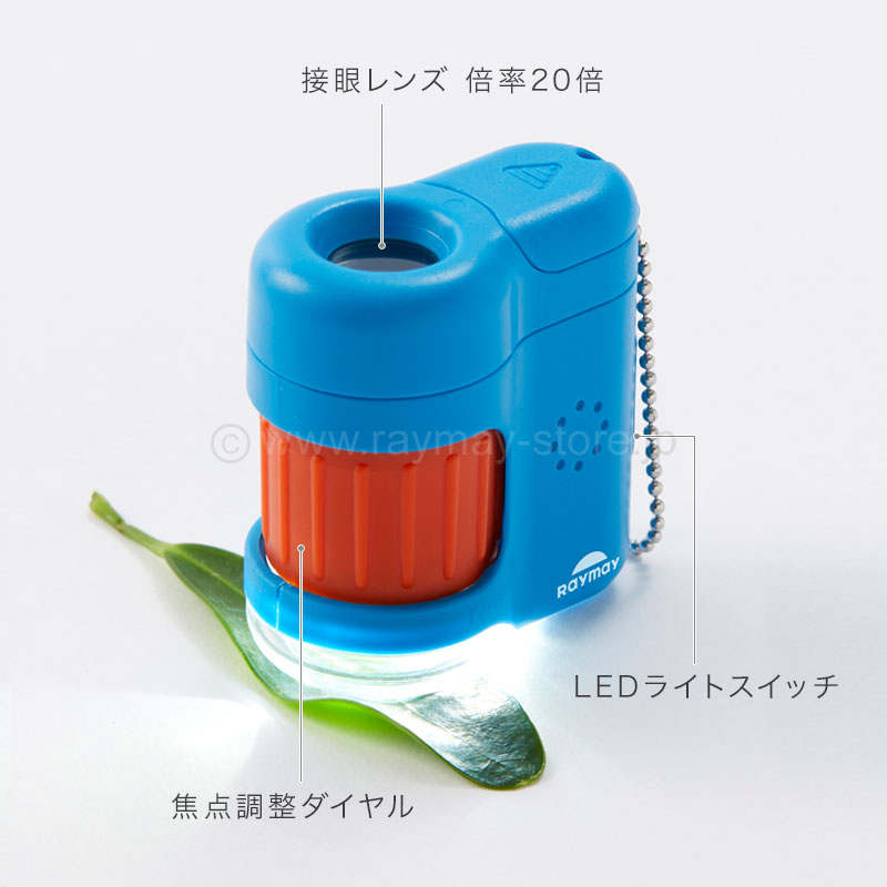 ハンディ顕微鏡 petit / レイメイストア / 株式会社レイメイ藤井