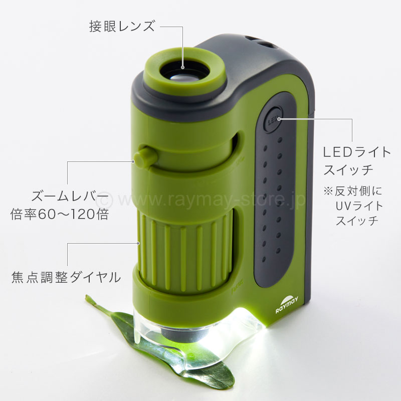 ハンディ顕微鏡 ZOOM / レイメイストア / 株式会社レイメイ藤井