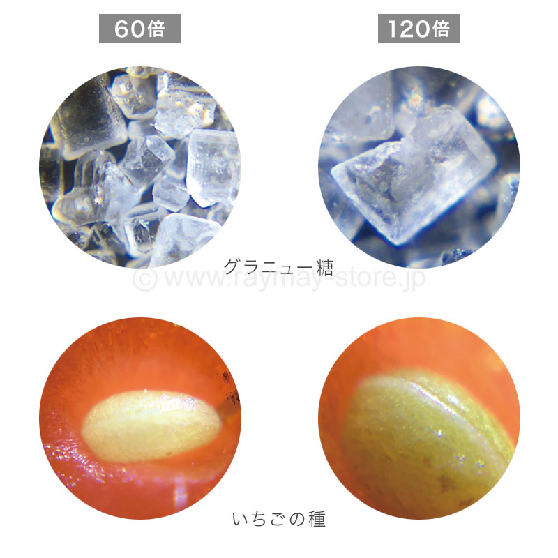 ハンディ顕微鏡 ZOOM / レイメイストア / 株式会社レイメイ藤井