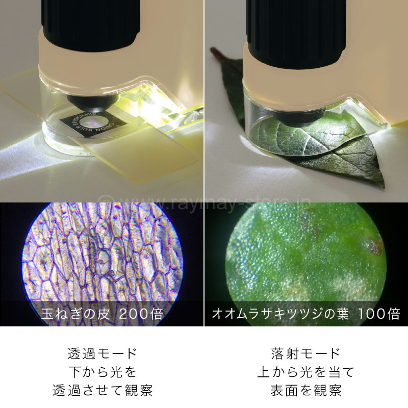 ハンディ顕微鏡 DX / レイメイストア / 株式会社レイメイ藤井