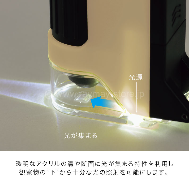 STAYZONE  チャンビン ペンミ o0750075014897587199.jpg