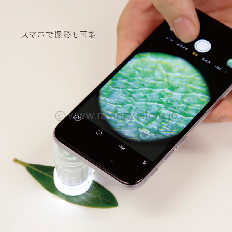 ハンディ顕微鏡 petit / レイメイストア / 株式会社レイメイ藤井
