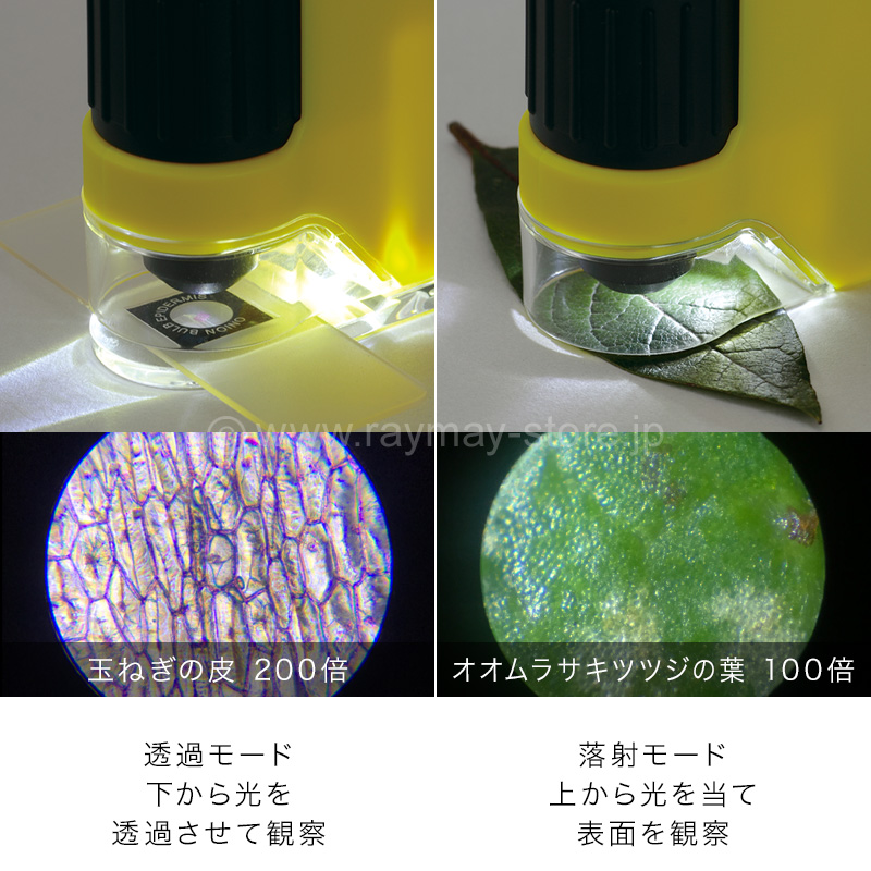 ハンディ顕微鏡 DX / レイメイストア / 株式会社レイメイ藤井