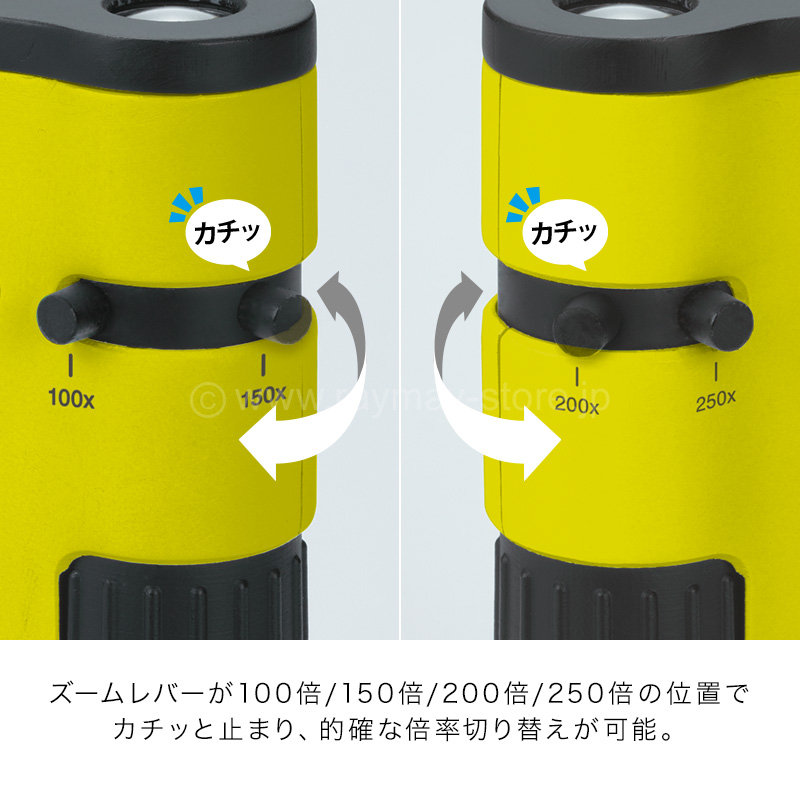 ハンディ顕微鏡 DX / レイメイストア / 株式会社レイメイ藤井