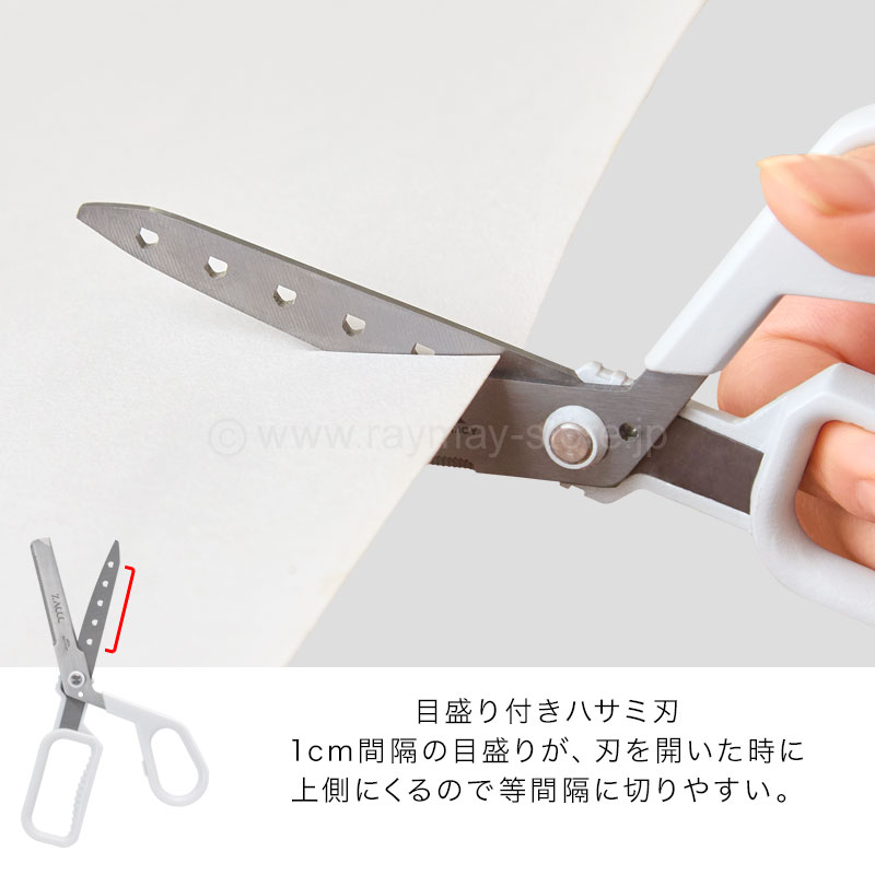 ZACCC スタンダード / レイメイストア / 株式会社レイメイ藤井