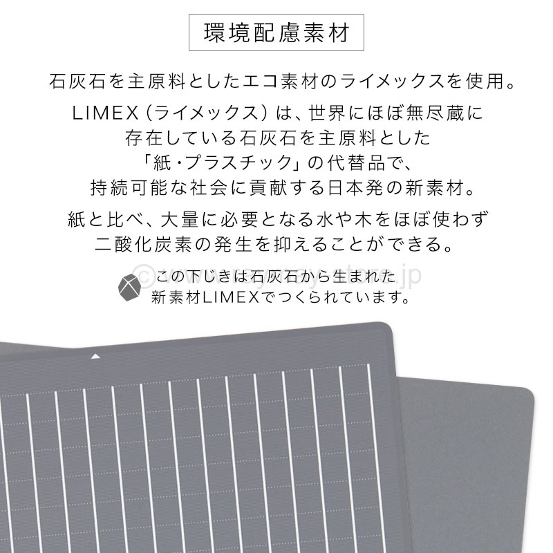 大人の魔法のザラザラ下じき A5 / レイメイストア / 株式会社レイメイ藤井