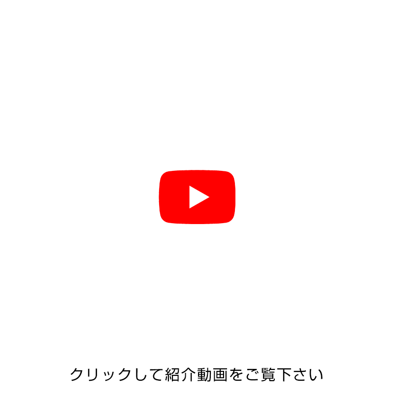 ペンパス 芯タイプ / レイメイストア / 株式会社レイメイ藤井